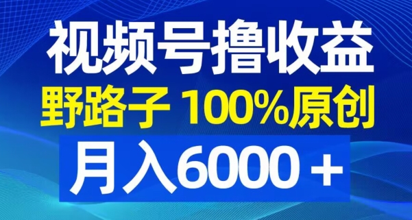 视频号野路子撸收益，100%原创，条条爆款，月入6000＋【揭秘】-吾爱云课堂