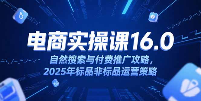 淘宝电商运营课16.0,自然搜索与付费推广攻略,2025年标品非标品运营策略-吾爱云课堂