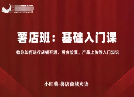 小红薯薯店商城卖货,基础入门课,教你如何进行店铺开通、后台设置、产品上传等入门知识-吾爱云课堂