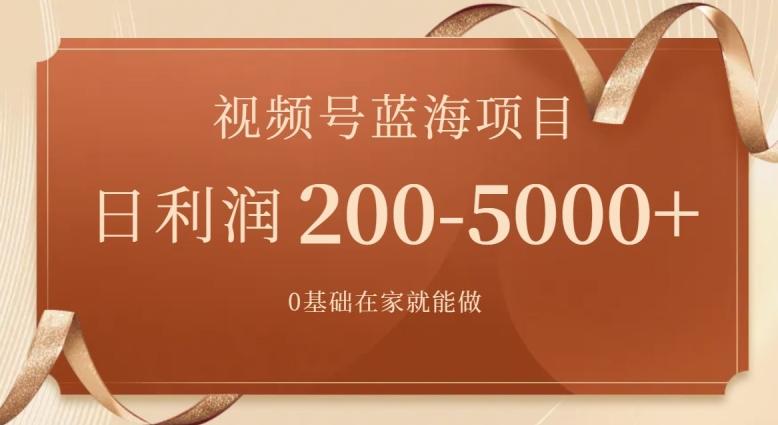 外边收费699视频号项目，最新玩法，简单好操作，一人可做，日四位数-吾爱云课堂