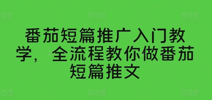 番茄短篇推广入门教学,全流程教你做番茄短篇推文-吾爱云课堂