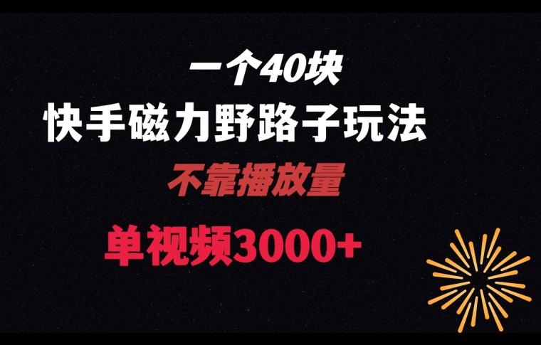 一个40块,快手联合美团磁力新玩法,无视机制野路子玩法,单视频收益4位数【揭秘】-吾爱云课堂