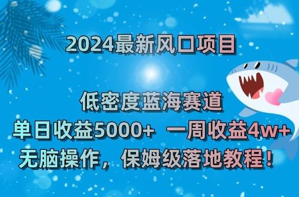 2024最新风口项目，低密度蓝海赛道，单日收益5000+，一周收益4w+！【揭秘】-吾爱云课堂