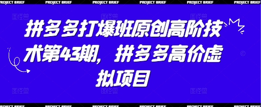 拼多多打爆班原创高阶技术第43期,拼多多高价虚拟项目-吾爱云课堂