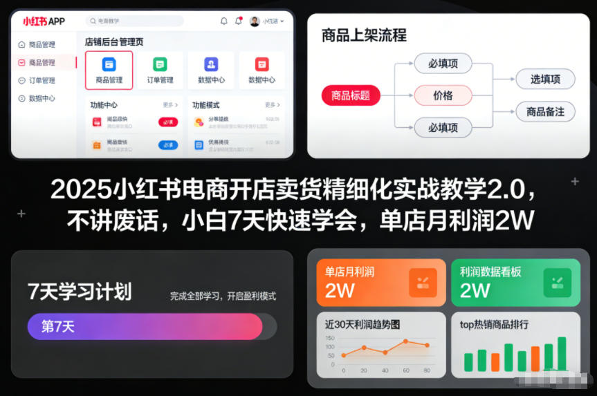 2025小红书电商开店卖货精细化实战教学2.0，不讲废话，小白7天快速学会，单店月利润2W-吾爱云课堂