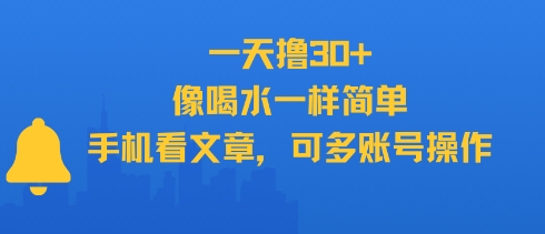 一天撸30+,像喝水一样简单,手机看文章,可多账号操作-吾爱云课堂