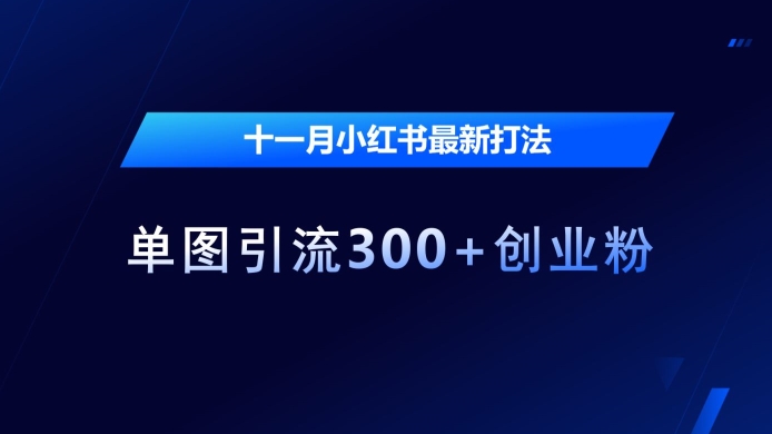 十一月小红书最新打法,单图引流300+创业粉【揭秘】-吾爱云课堂