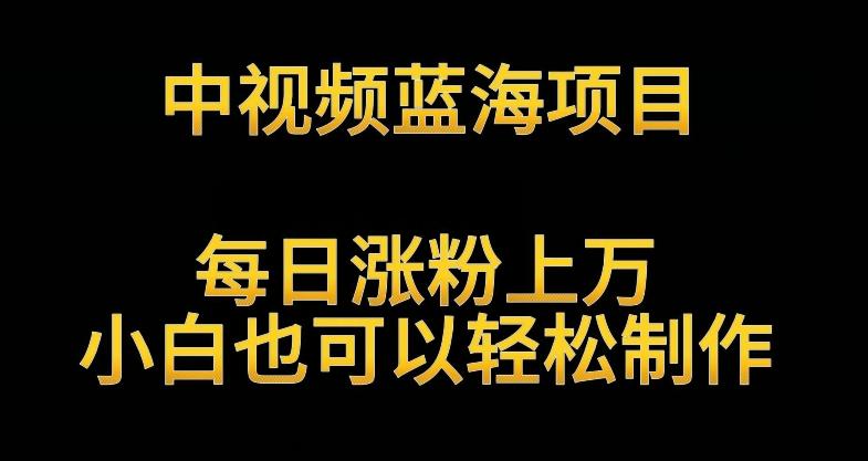 中视频蓝海项目,解读英雄人物生平,每日涨粉上万,小白也可以轻松制作,月入过万不是梦【揭秘】-吾爱云课堂