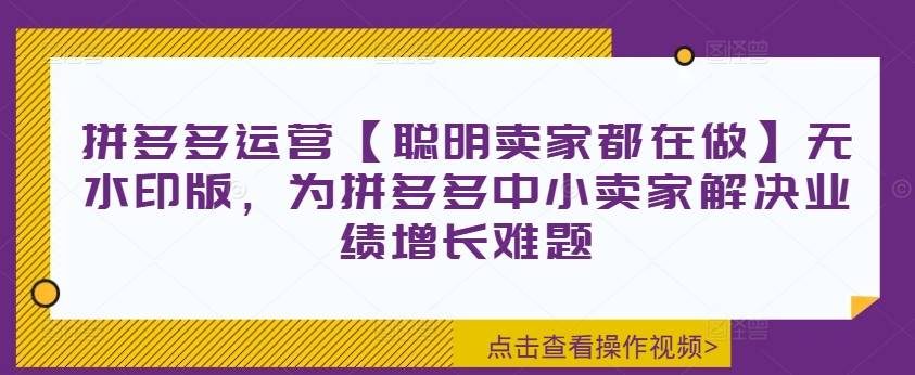 拼多多运营【聪明卖家都在做】无水印版，为拼多多中小卖家解决业绩增长难题-吾爱云课堂