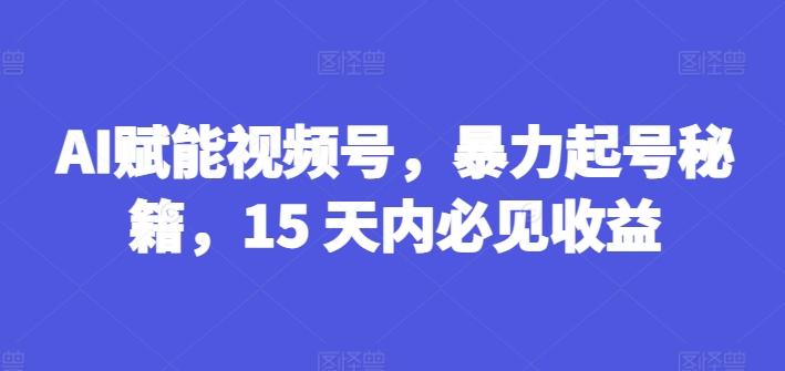 AI赋能视频号,暴力起号秘籍,15 天内必见收益【揭秘】-吾爱云课堂