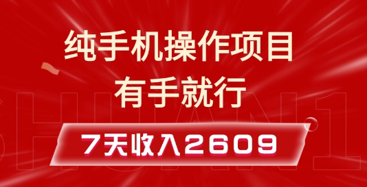 纯手机操作的小项目,有手就能做,7天收入2609+实操教程【揭秘】-吾爱云课堂