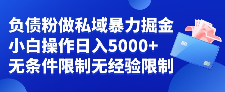 负债粉私域暴力掘金,小白操作入5000,无经验限制,无条件限制【揭秘】-吾爱云课堂