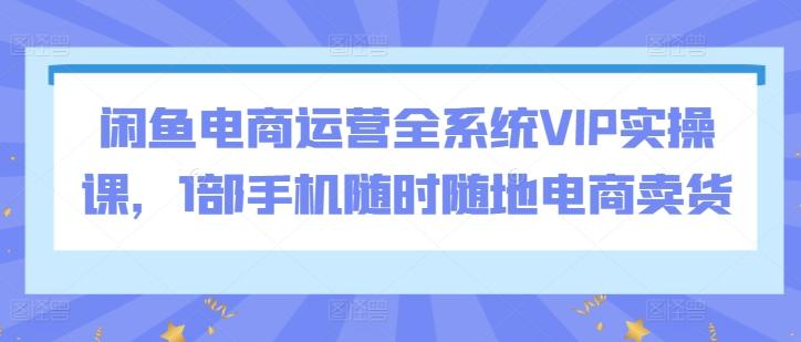 闲鱼电商运营全系统VIP实操课,1部手机随时随地电商卖货-吾爱云课堂