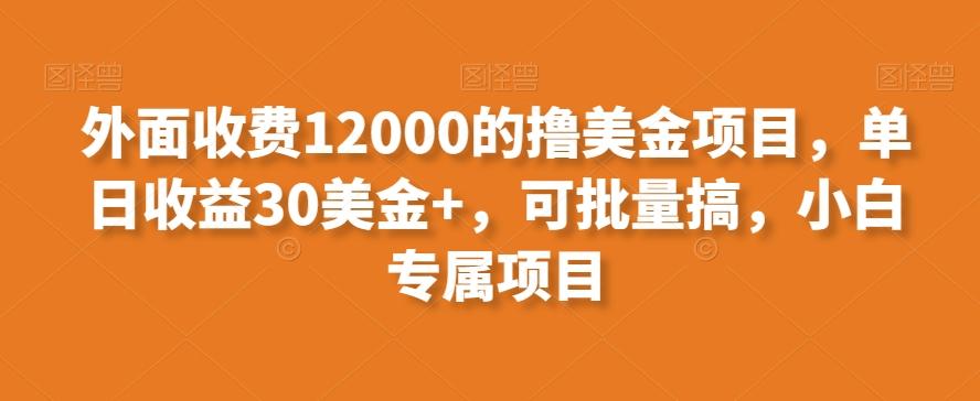 外面收费12000的撸美金项目,单日收益30美金+,可批量搞,小白专属项目-吾爱云课堂