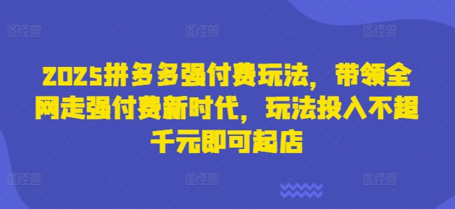 2025拼多多强付费玩法,带领全网走强付费新时代,玩法投入不超千元即可起店-吾爱云课堂