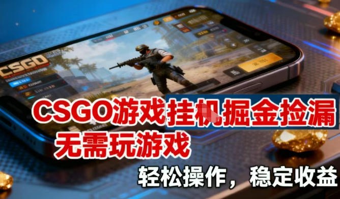 CSGO游戏挂G掘金捡漏，不需要玩游戏，操作简单，收益稳定【揭秘】-吾爱云课堂