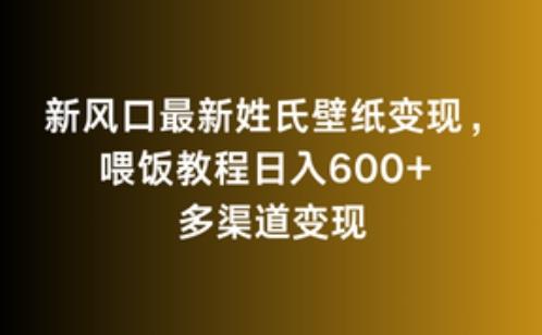 新风口最新姓氏壁纸变现,喂饭教程日入600+【揭秘】-吾爱云课堂