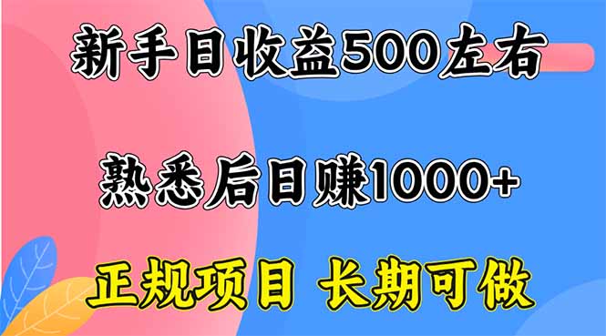 新手日收益500+ 正规项目 长期可做-吾爱云课堂