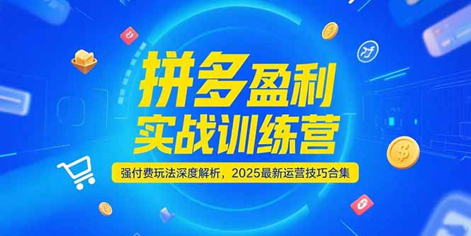 拼多多盈利实战训练营,强付费玩法深度解析,2025运营技巧合集-更新6月-吾爱云课堂