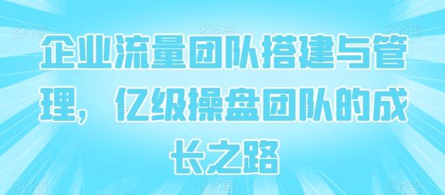 企业流量团队搭建与管理,亿级操盘团队的成长之路-吾爱云课堂
