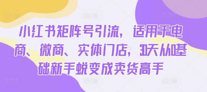 小红书矩阵号引流,适用于电商、微商、实体门店,30天从0基础新手蜕变成卖货高手-吾爱云课堂