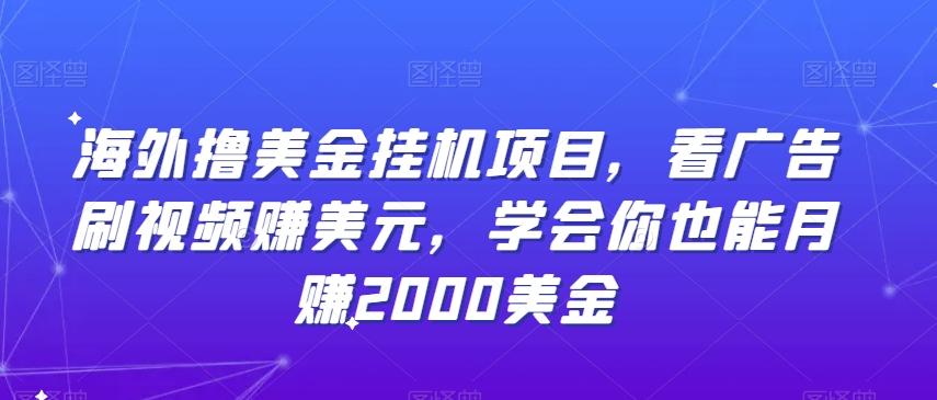 海外撸美金挂机项目,看广告刷视频赚美元,学会你也能月赚2000美金-吾爱云课堂