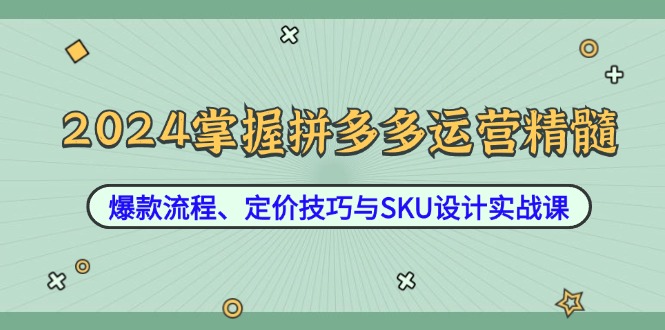 2024掌握拼多多运营精髓:爆款流程、定价技巧与SKU设计实战课-吾爱云课堂