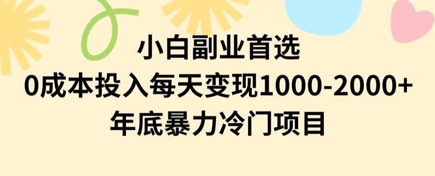小白副业首选,0成本投入,每天变现1000-2000年底暴力冷门项目【揭秘】-吾爱云课堂