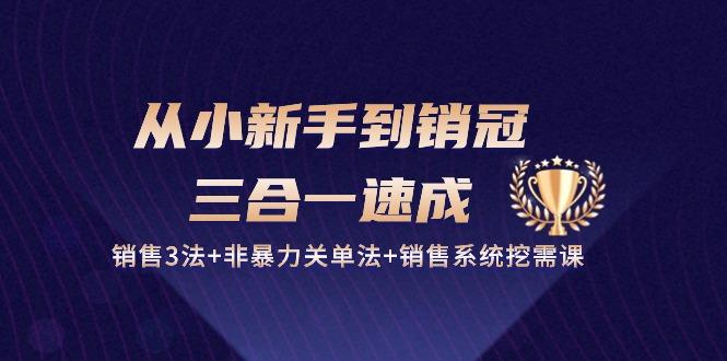 从小新手到销冠 三合一速成:销售3法+非暴力关单法+销售系统挖需课 (27节-吾爱云课堂