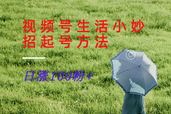 视频号生活小妙招分享赛道, 起号涨粉新方法,日涨100粉-吾爱云课堂