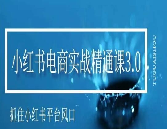 小红书电商实战精通课3.0,抓住小红书平台的风口,不错过有一个赚钱的机会-吾爱云课堂
