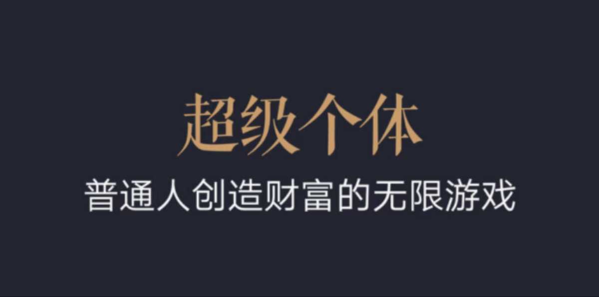 超级个体:2024-2025翻盘指南,普通人创造财富的无限游戏-吾爱云课堂
