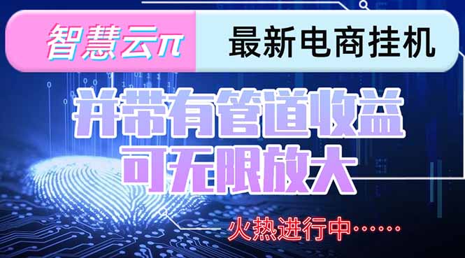 智慧云π电脑挂机单机每天收益300—500+ 并带有团队管道收益 可无限放大-吾爱云课堂