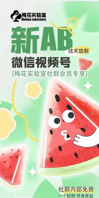 梅花实验室2024年AB技术视频号AB合成破解版-吾爱云课堂