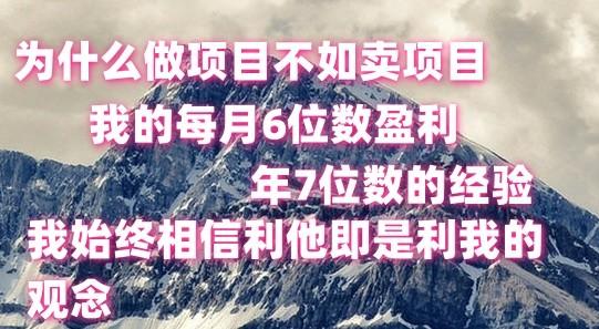 做项目不如卖项目,每月6位数盈利,年7位数经验-吾爱云课堂