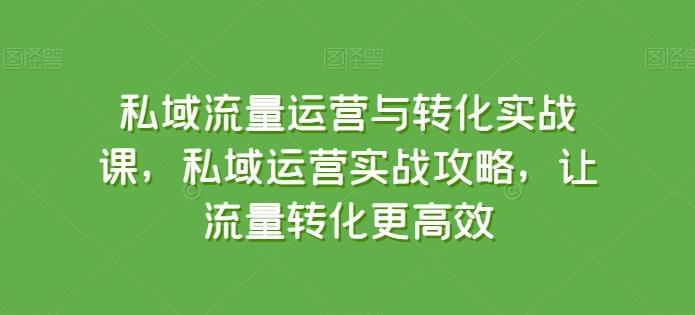 私域流量运营与转化实战课，私域运营实战攻略，让流量转化更高效-吾爱云课堂