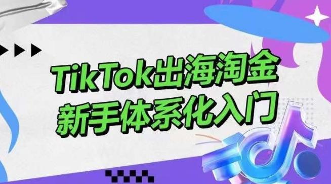 TikTok出海淘金,新手体系化入门,零基础快速入门,掌握短视频、直播带货等引流到变现的知识-吾爱云课堂
