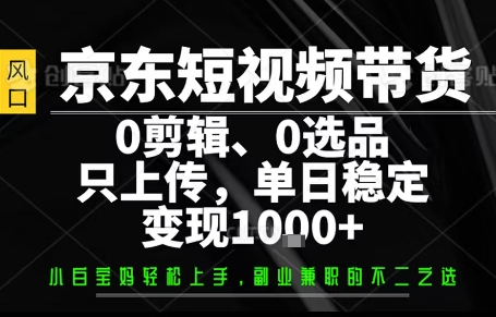 你出账号,我来运营,保底日入1k+,开启躺賺模式【揭秘】-吾爱云课堂