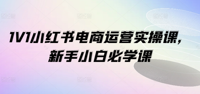 1V1小红书电商运营实操课,新手小白必学课-吾爱云课堂