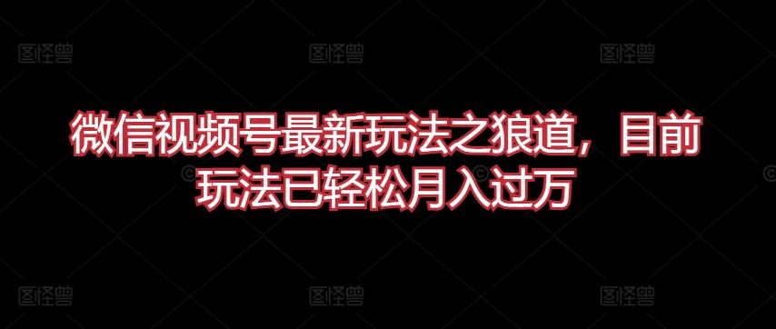 微信视频号最新玩法之狼道,目前玩法已轻松月入过万【揭秘】-吾爱云课堂