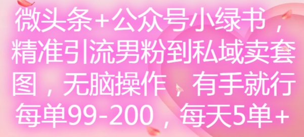 微头条+公众号小绿书，精准引流男粉到私域卖套图，无脑操作，有手就行，每单99-200，每天5单-吾爱云课堂