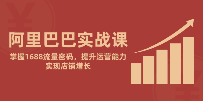 阿里巴巴实战课:掌握1688流量密码,提升运营能力,实现店铺增长-吾爱云课堂