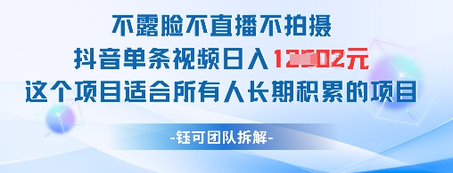 不露脸不直播不拍摄抖音单条视频日入1k+这个项目适合所有人长期积累的项目-吾爱云课堂