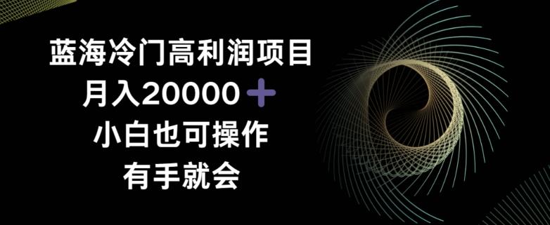 蓝海冷门高利润项目月入2000,小白也可操作有手就会-吾爱云课堂