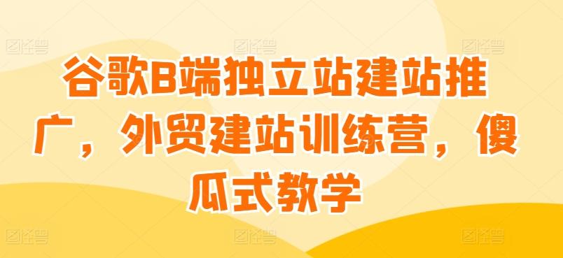 谷歌B端独立站建站推广,外贸建站训练营,傻瓜式教学-吾爱云课堂